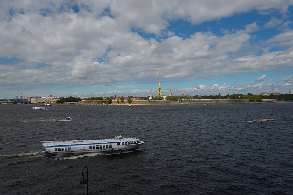 Пансионат для пожилых С видом на Неву Санкт-Петербург