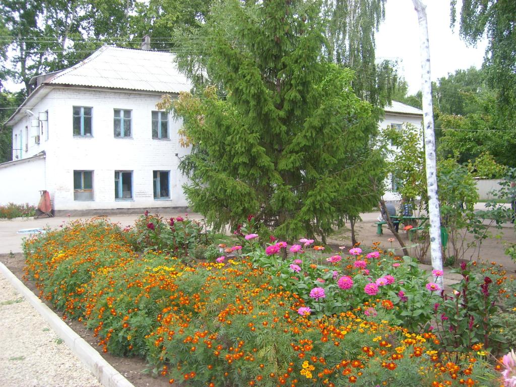 Пансионат для инвалидов психоневрологический. Пансионат село Владимировка. Алексеевский пансионат для инвалидов психоневрологический интернат. Сызранский пансионат для инвалидов психоневрологический интернат.