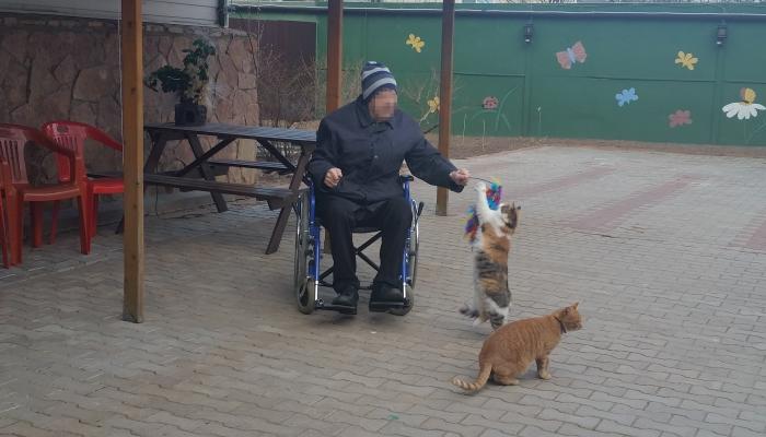 Пансионат для пожилых людей Долголетие в Парголово Санкт-Петербург