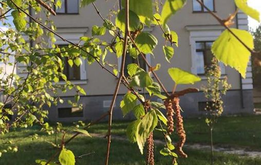 Пансионат для пожилых людей с Альцгеймера Дом Доброты