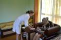 Пансионат для пожилых Senior LUX