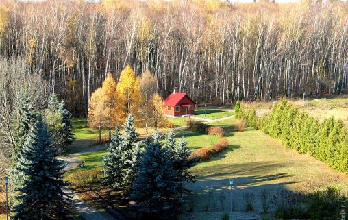 Лечебно-реабилитационный научный центр Русское поле