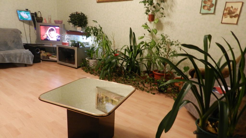Пансионат для пожилых Добрые руки на Колпинском шоссе Санкт-Петербург