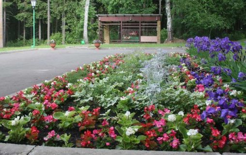 Санаторий для пенсионеров Виктория