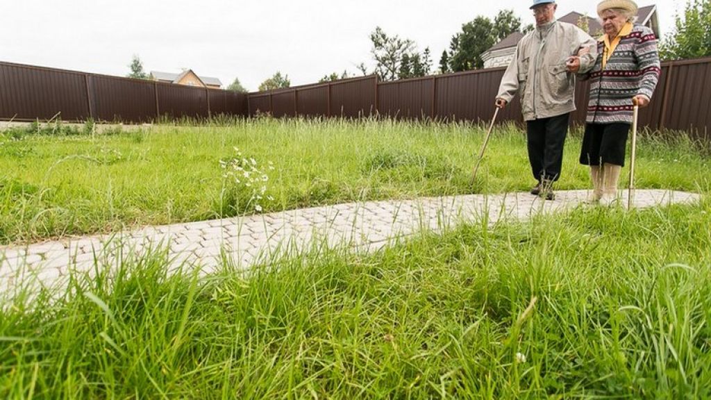 Пансионат для пожилых Новый Век в Сертолово Санкт-Петербург