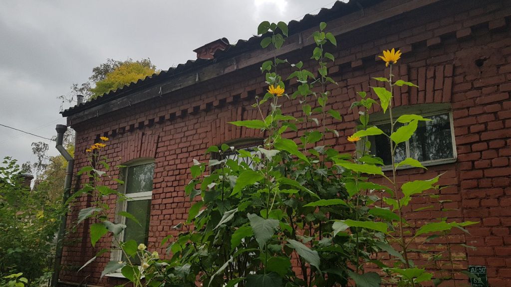Пансионат для пожилых Ржевка Санкт-Петербург